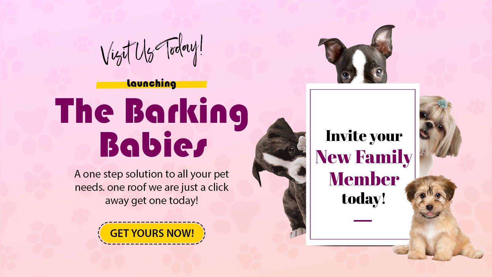 Puppies for Sale - The Barking Babies